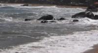 2,500+ Illegal Constructions in Coastal Areas